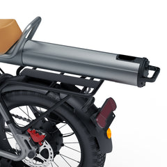 Coswheel CT20 Cargo Electric Bike