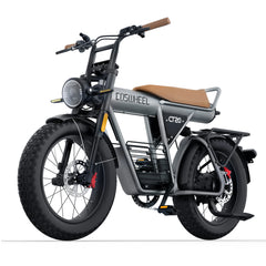 Coswheel CT20 Cargo Electric Bike