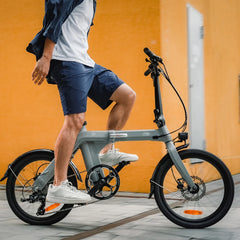 FIIDO D11 2025 Folding Electric Bike