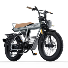 Coswheel CT20 Cargo Electric Bike