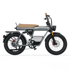 Coswheel CT20 Cargo Electric Bike
