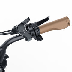 Coswheel CT20 Cargo Electric Bike