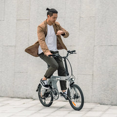 FIIDO D11 2025 Folding Electric Bike