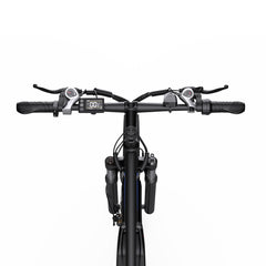 DUOTTS C29 Pro Electric Mountain Bike
