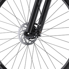 DUOTTS C29 Pro Electric Mountain Bike
