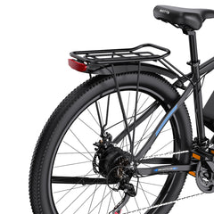 DUOTTS C29 Pro Electric Mountain Bike