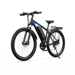 DUOTTS C29 Pro Electric Mountain Bike