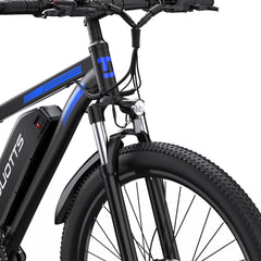 DUOTTS C29-L Electric Bike