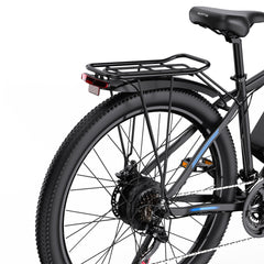 DUOTTS C29-L Electric Bike
