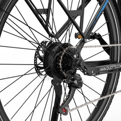 DUOTTS C29 Lite Electric Bike