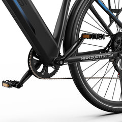 DUOTTS C29 Lite Electric Bike