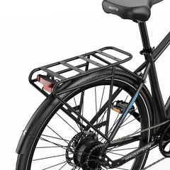 DUOTTS C29 Lite Electric Bike