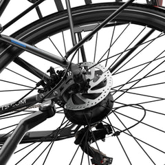 DUOTTS C29 Lite Electric Bike