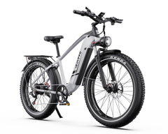 DUOTTS F26 Lite Electric Cycle with Kenda tires on a white background