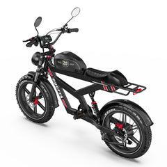 DUOTTS F20 Upgraded Electric Bike