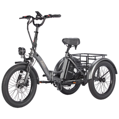 Fafrees F20 Mate Electric Cargo Tricycle