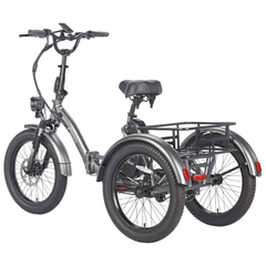 Fafrees F20 Mate Electric Cargo Tricycle