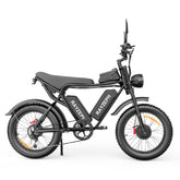 YVY C20 Max elcykel