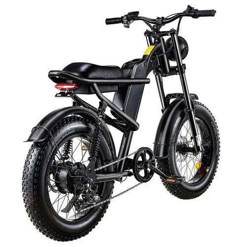 Riding Times Z8 Electric Bike - US - Pogo Cycles
