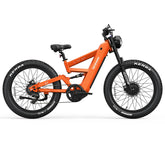 TESWAY X9 AWD Dual Motors Electric Mountain Bike