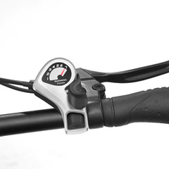 Touroll S2 Electric Bike
