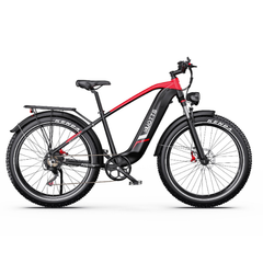 DUOTTS F26 Lite Elcykel