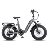 FAFREES F20 MASTER E-BIKE