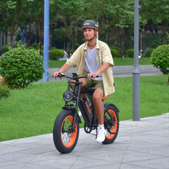 VIPCOO VM6 Electric City Bike