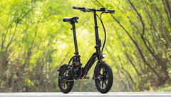 FIIDO D3 PRO Electric Bike with mudguard and light - UK - Pogo Cycles