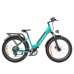 ENGWE E26 Electric Mountain Bike