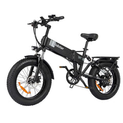 Ridstar H20 Folding Electric Bike
