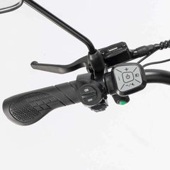 Ridstar Q20 Pro elektrisk ladcykel
