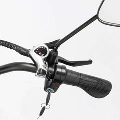 Ridstar Q20 Pro elektrisk ladcykel