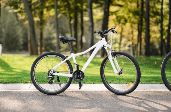 Tyers of e-bike - Pogo Cycles