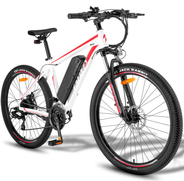 Fafrees F28 MT Mountain Electric Bike - Pogo Cycles