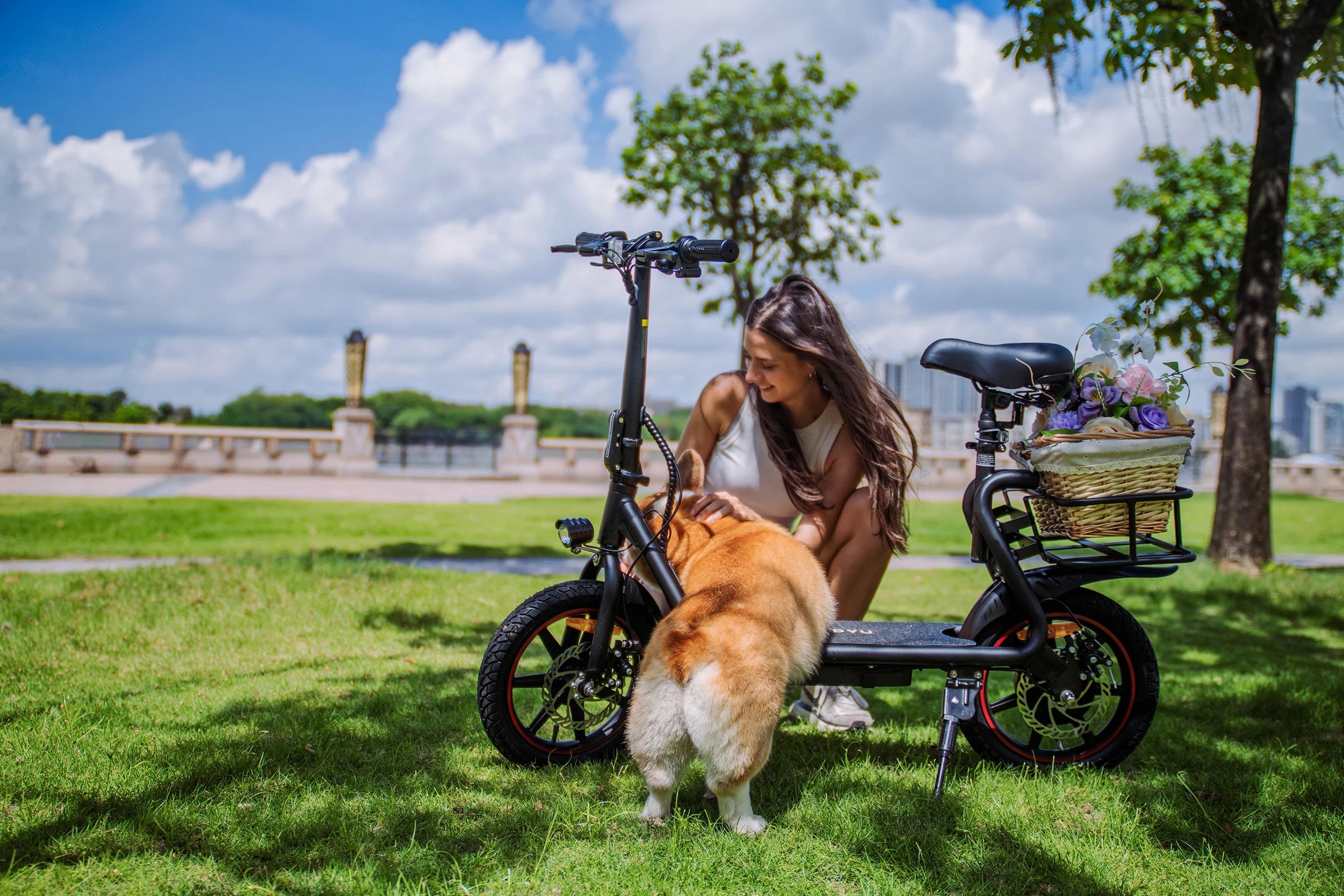 DYU C4 Folding Electric Scooter