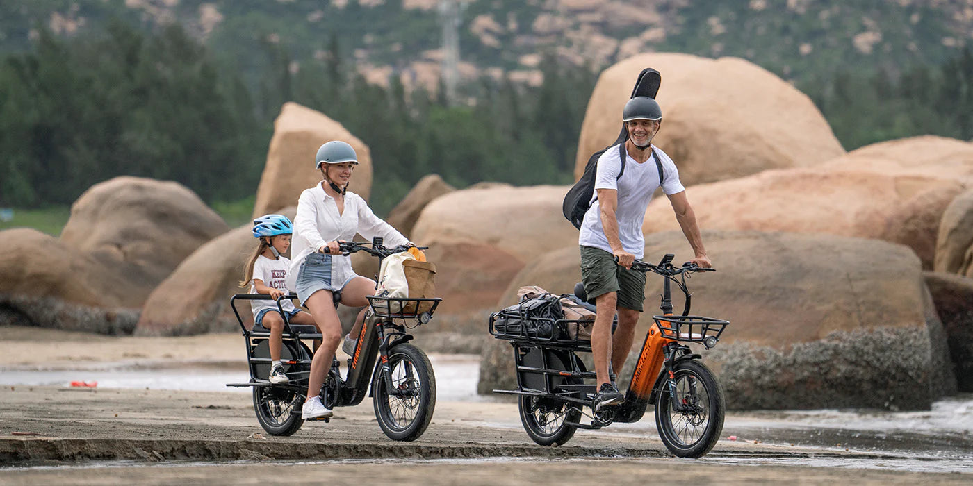 LANKELEISI Wombat-1 Cargo Electric Bike