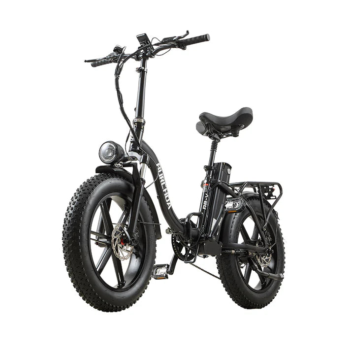 Burchda R8S Pro / R8V Folding Electric Bike