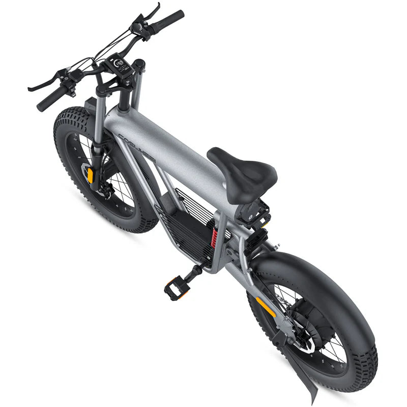 Coswheel T20 All Terrain Cargo El-cykel