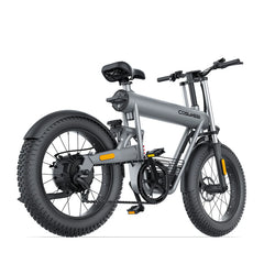 Coswheel T20 All Terrain Cargo El-cykel