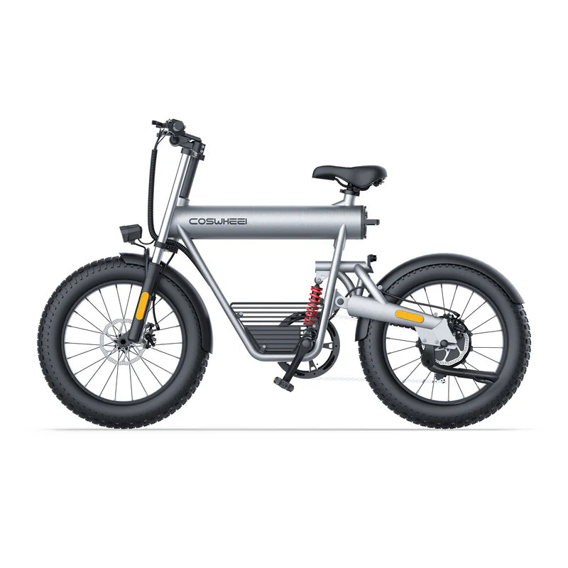 Coswheel T20 All Terrain Cargo El-cykel