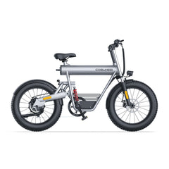 Coswheel T20 All Terrain Cargo Electric Bike - Pogo Cycles