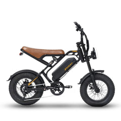 Bodywel M16 Fat Tire Electric Bike