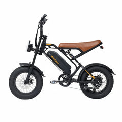 Bodywel M16 Fat Tire Electric Bike
