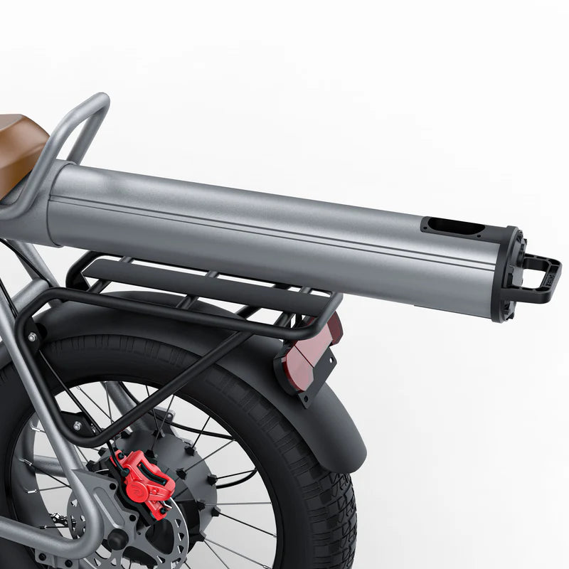 Coswheel CT20 Cargo Electric Bike - Pogo Cycles