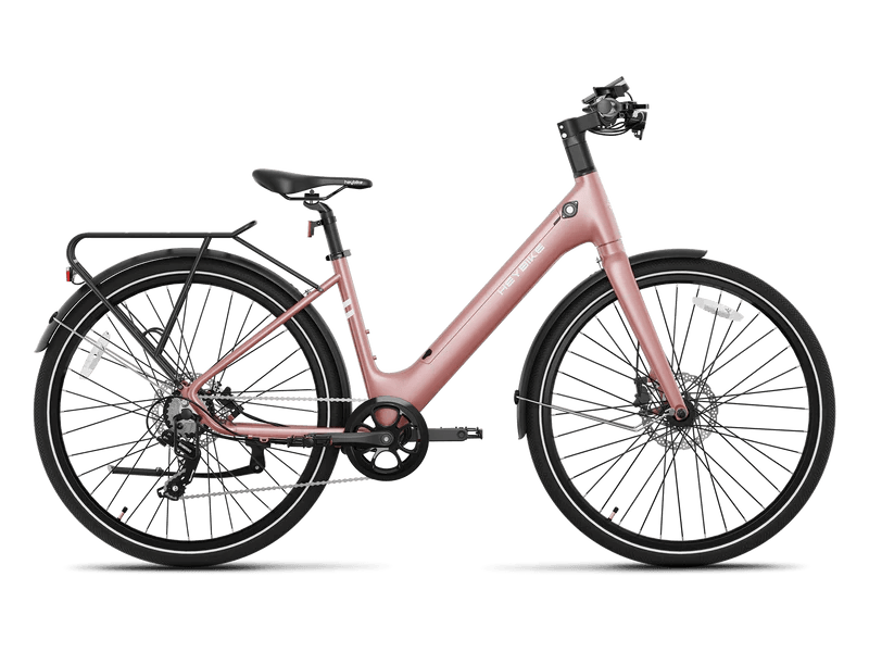 Heybike EC 1-ST Pedelec Electric Bike - Pogo Cycles