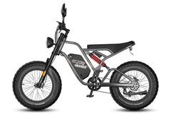 Fafrees F20 Ultra Elcykel
