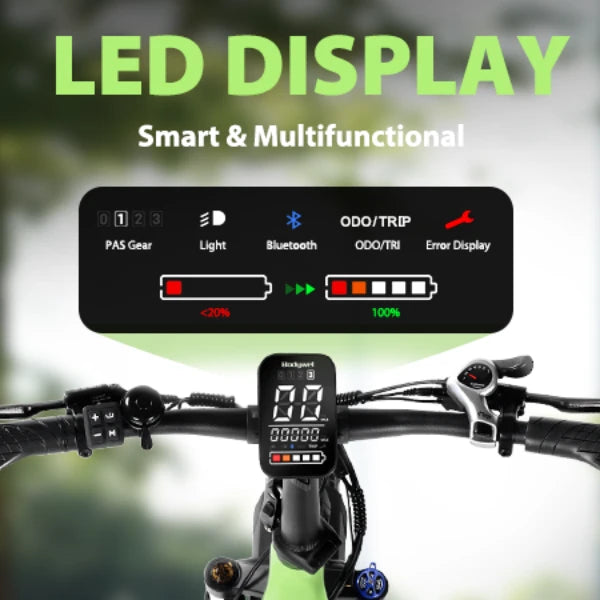 Bodywel F20 PRO Electric Bike