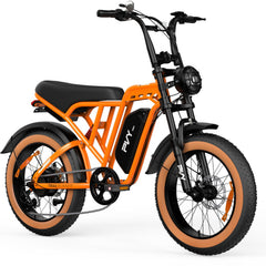 PVY A20 Electric Bike