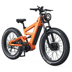 TESWAY X9 AWD Dual Motors Electric Mountain Bike